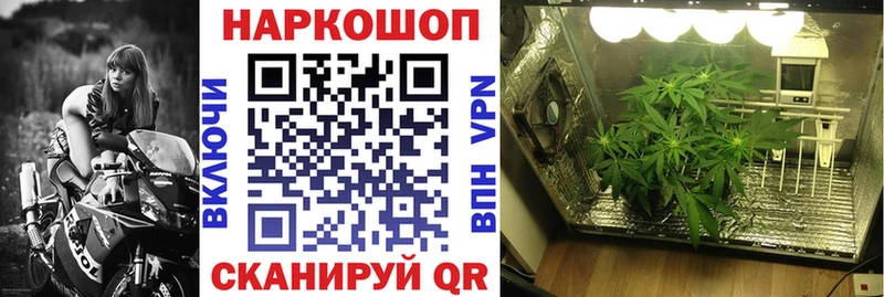 Цена Чудово Кокаин  A-PVP  Меф  Псилоцибиновые грибы  Канабис  ГАШ 