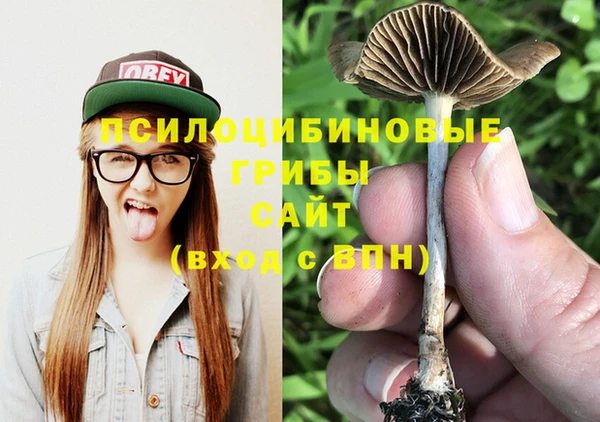 гашик Баксан
