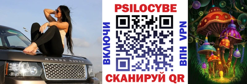 Галлюциногенные грибы GOLDEN TEACHER  купить наркотики цена  Чудово 