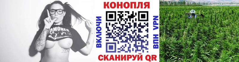 Канабис MAZAR  Чудово 